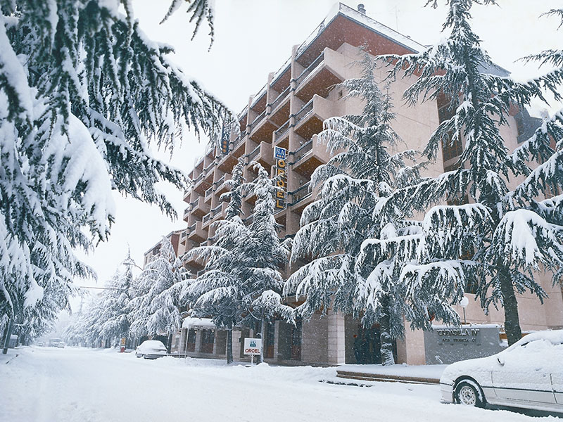 GonTour | Acerca de nosotros